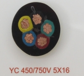 毕节YC 450/750V 5X16